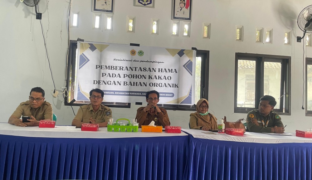 Kkn- Pmd Unram Desa Pakuan Mengadakan Sosialisasi Mengenai Pemberantasan Hama Di Pohon Kakao Dengan Bahan Organik